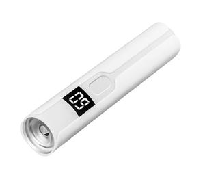Jnchdghwa Mini Lampe UV LED pour Sèche-Ongles 365 UV, Lampe de Polymérisation Ultraviolette Rechargeable par USB, Détecteur de Billets, Lanterne à Main B