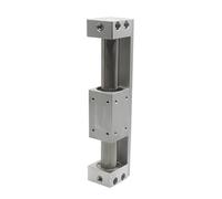 JNMING Alésage 20 mm Course 250 mm 100 mm 300 mm CY3R20 Vérin sans tige à couplage magnétique de type SMC Type à montage direct Aimant intégré(400mm stroke)