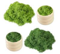 JNYUTEEN 200g Mousse Artificielle pour Décorations, Vert Foncé et Vert Clair Mousse Synthétique pour Artisanat, Fausse Décorative pour Créations DIY et Maquettes