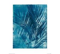 Jo de Pear (Palm II 40 x 50 cm Toile Imprimée