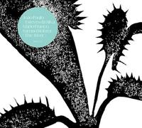 Joao Paulo Esteves Da Silva Trio - The River