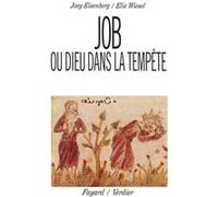 Job ou Dieu dans la tempête Elie Wiesel (Auteur), Josy Eisenberg (Auteur)