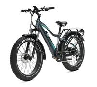 JOBOBIKE Robin-E33 VéLo éLectrique Adulte Moteur 250 W Batterie 36 V 13 Ah Pneus Larges 26 Pouces VéLo éLectrique