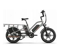 Jobobike Transer - Vélo Cargo Électrique - 250 W - 48 V - Batterie 15 Ah - Vitesse Maximale 25 Km/H - Gris Multicolore