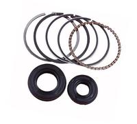 Jodriva Jeu de joints d'huile de vilebrequin à segment de piston de 39 mm, for tondeuse à gazon GX35 GX 35 4 temps 35,8 CC, pièce de rechange for petit moteur 140 Joint d'huile moteur