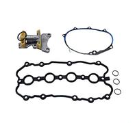 Jodriva Kit de tendeur joint couvercle soupape moteur chaîne distribution d'arbre à cames, pour, for Skoda, for Seat, A3 A4 TT, for EOS, GTI, for Golf, for Jetta, for Passat Joint de culasse(Kit 004)