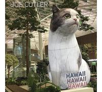 Joe Cutler Hawaii. Clowes, Boerman, Palmer. [Import]