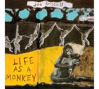 Joe Driscoll - Life As A Monkey