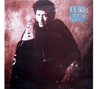 JOE ELY - LORD OF THE HIGHWAY LP (VINYL) UK DEMON 1987 (Katalog-Nummer: FIEND101)