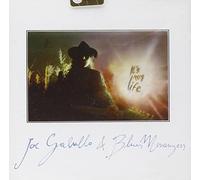 Joe Galullo & Blues Mess - It's My Life [Import]