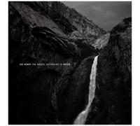 Joe Henry – The Gospel According to Water – Vinyle – earMUSIC