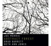 Joe Morris, Brad Barrett, Beth Ann Jones – Abstract Forest – CD