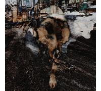 Primitive Energetics