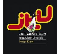 Joe T Vanelli Projekt - Never Knew