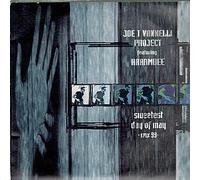 JOE T VANNELLI / SWEETEST DAY OF MAY 1999