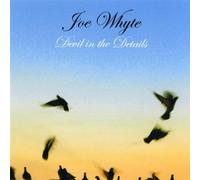 Joe Whyte - Devil in The Details [Import]