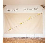 Joe Wulff voix guitare - Joe Ghost Under Water (Vinyle). Wulff. [Import]