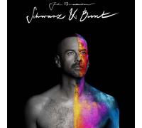 Joel Brandenstein Schwarz & Bunt (CD)