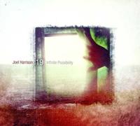 Joel Harrison 19 - Infinite Possibility [Import]