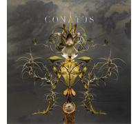 Joep Beving Conatus (CD) Album
