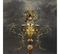 Joep Beving – Conatus – Vinyle 2LP 12"