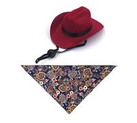 JOERBABU Ensemble bonnet et mouchoir pour animal de compagnie - Foulards - Tenue de fête d'anniversaire occidentale pour un look festif