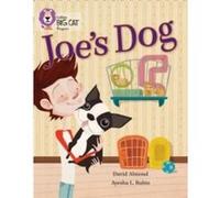 Joe's Dog David Almond (Auteur)