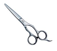 Joewell Ciseaux à cheveux AR-610