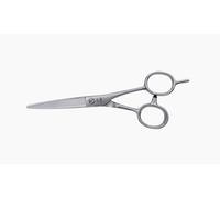 Joewell Tono 55 5,5 Pouces Ciseaux de Coupe Cheveux Coiffeur Profi Salon Barber