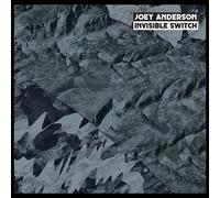 Joey Anderson - Invisible Switch