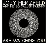 Joey Herzfeld and Hi - Are Watching You