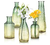 Joeyan Lot de 5 Petits Vases à Bourgeons en Verre Gaufré, Coloré Mini Vase Décoratif Rustique Vintage de Vert et Ambre,Soliflore en Verre Fleur Decoration pour Mariage,Bureau, Maison, Chambre,Salon