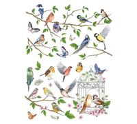 Joeyan Oiseaux sur les Branches Rub On Transfers pour Meubles et Travaux Manuels, 2 Grands Autocollants 43x30cm, DIY Autocollant Maison sur Bois Verre Métal Toile Porcelaine Papier Plastique