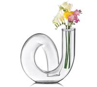 Joeyan Petit Vase à Fleurs en Verre Transparent - Fait à La Main, Décoratif Géométrique pour Centres de Table Modernes, Salon, Bureau - Abstrait de 12cm pour Fleurs Simples et Sèches
