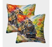 JOFHYYSIE tren vaporImpresión 3DFundas Para Almohada Diseño45x45cmJuego De 2 Cuadrados Resistentes Para Silla, Cama
