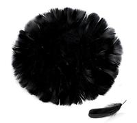JOFONY Lot de 300 plumes décoratives noires - Plumes décoratives - Plumes décoratives - Plumes d'oiseaux - Plumes naturelles pour bricolage, bricolage, décoration, Halloween, carnaval