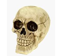 Joh. Vogler GmbH Sculpture - Tirelire en forme de tête de mort gothique métallique - 15 cm