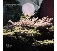 Johan Lindvall Trio No City, No Trees, No Lake (CD) Album