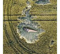 Bach: Partita & Concertos