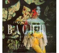 Johann Sebastian Bach II Meisterwerke zum Kennenlernen 3 CD Box (CD)