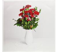 Johannes Albert - Hotel Novalis