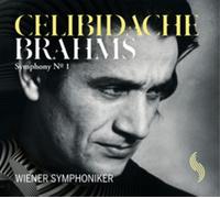 Symphony 1