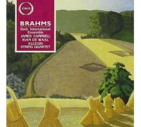 Johannes Brahms - Clarinet Piano Quintet