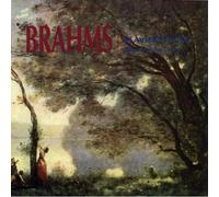 JOHANNES BRAHMS Piano Works (CD)