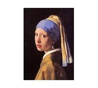 Johannes Vermeer Girl with Pearl Earring Painting Art Framed Art Print Picture & Mount F12X456