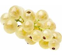 Johannisbeere Weiße Ribes rub. 'White Dutchman' C2-2 Littré 65 cm