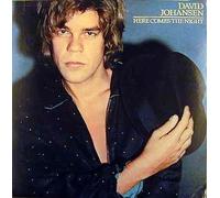 Johansen, David - Here Comes The Night