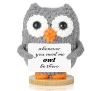 Johiux Pocket Hug - Chouette positive, porte-bonheur, cadeau pour femmes, collègues, porte-bonheur - Cadeau de rentrée des classes - Pomme de terre positive en allemand