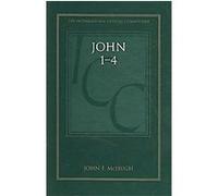 John 1-4, International Critical Commentary Series John F Mchugh (Auteur)