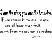John 15:5 Décoration murale en vinyle Inscription I Am the Vine, You Are the Branches, Remain in Me Bear Much Fruit 28 x 55 cm